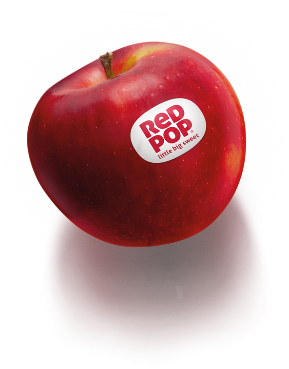 redpop-apple-cut-out-teaser-big