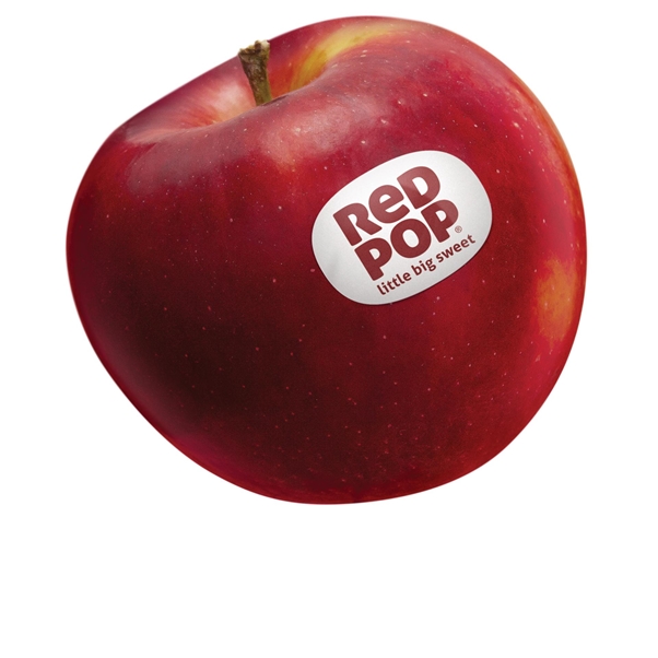 sur tom Skoleuddannelse RedPop®: little big sweet