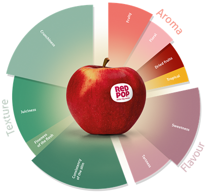 redpop-aromarad-website-1410-x-1310px-en