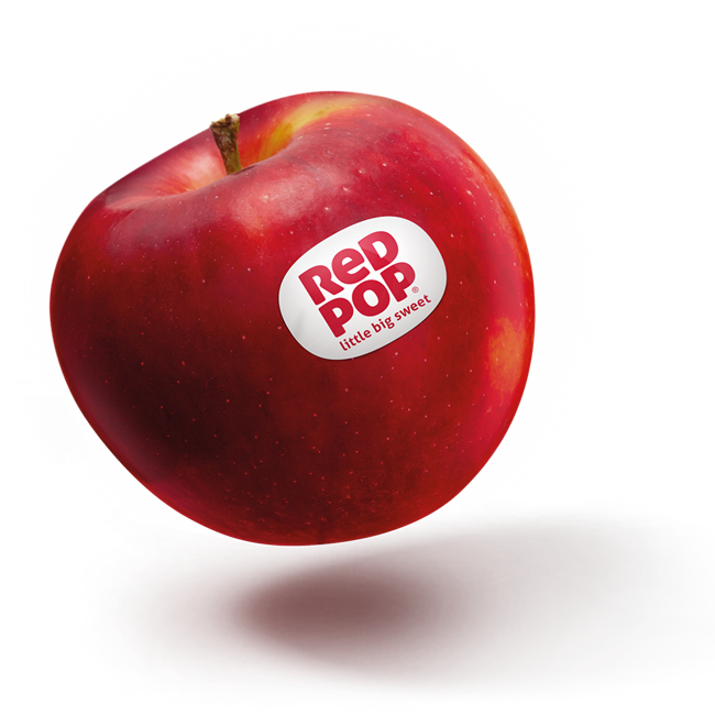 redpop-apple-cut-out-header-big-1